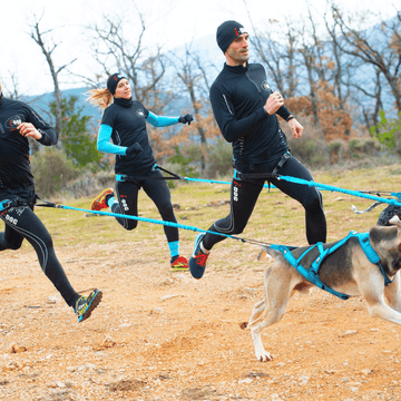 Longe de traction Opale i-Dog